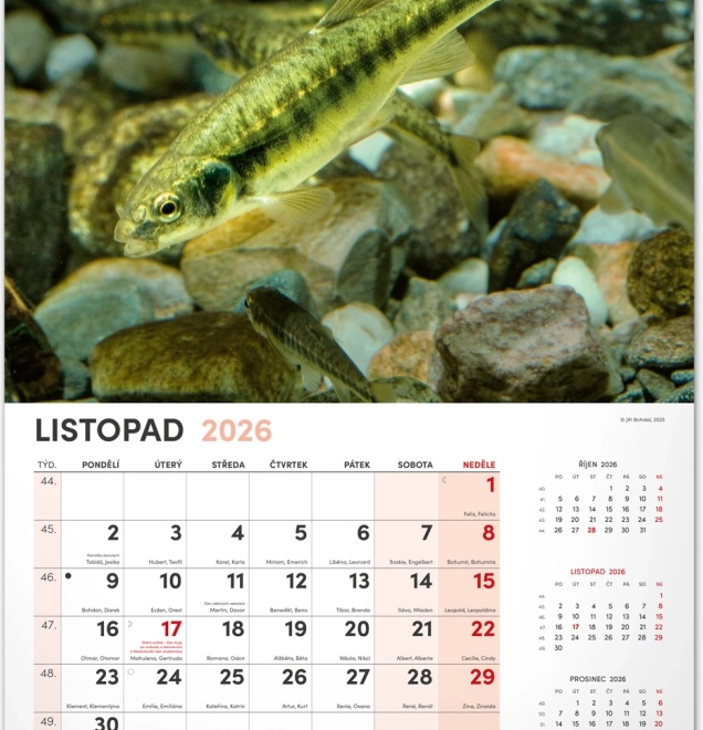 Zidni kalendar Ribički 2026