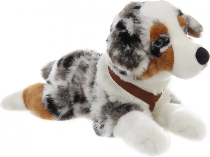 Realističan izgled australskog ovčara