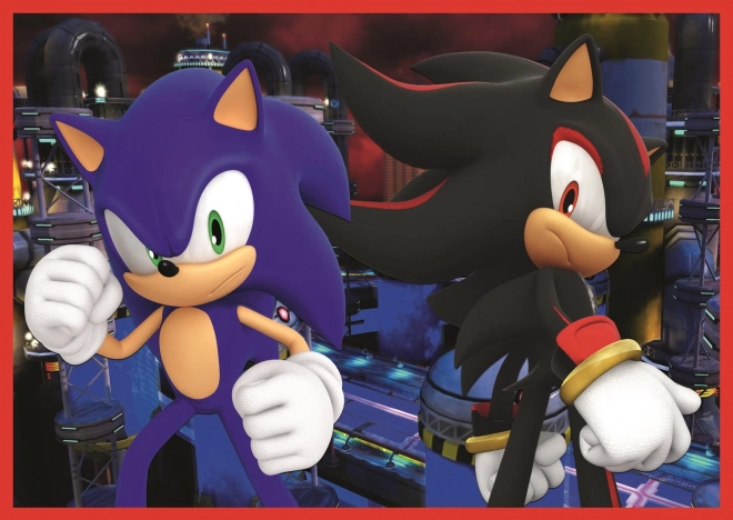 Slagalica 4u1 Sonic/Sonic The Hedgehog 28,5x20,5cm u kutiji 28x28x6cm