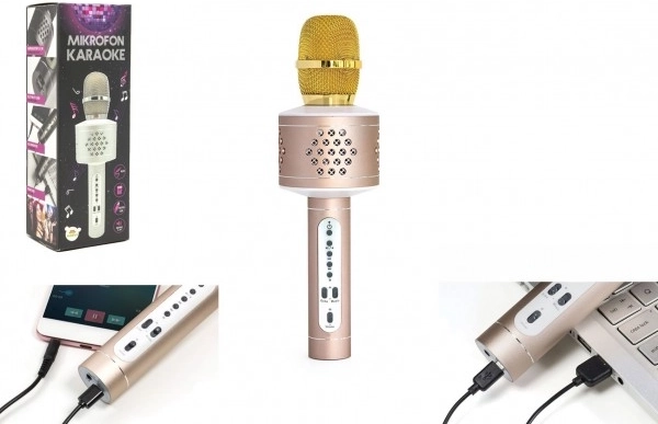 Bluetooth karaoke mikrofon s ozvučenjem i echo efektom – Zlatna