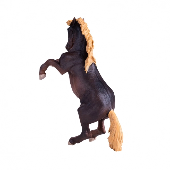 Mojo Pastuh Brumby