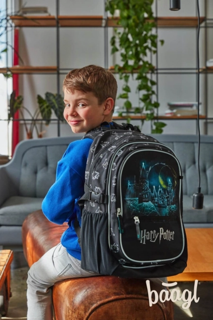 BAAGL Školski ruksak Core Harry Potter Hogwarts