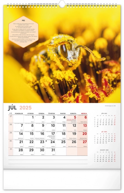 NOTIQUE Zidni Pčelarski kalendar 2025, 33 x 46 cm