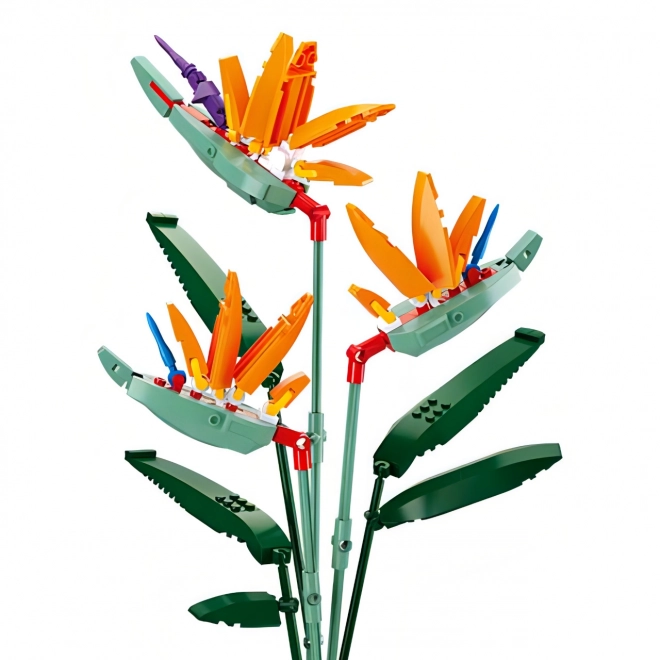Sluban Flowers Kraljevska Strelicija