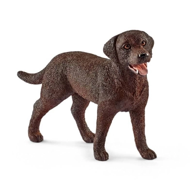 Labradorski retriver Kujica