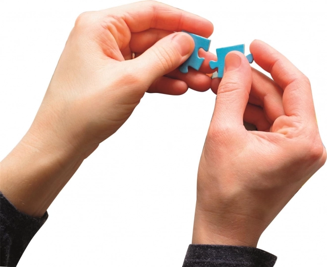 Puzzle 500 dijelova Uz rijeku Seinu