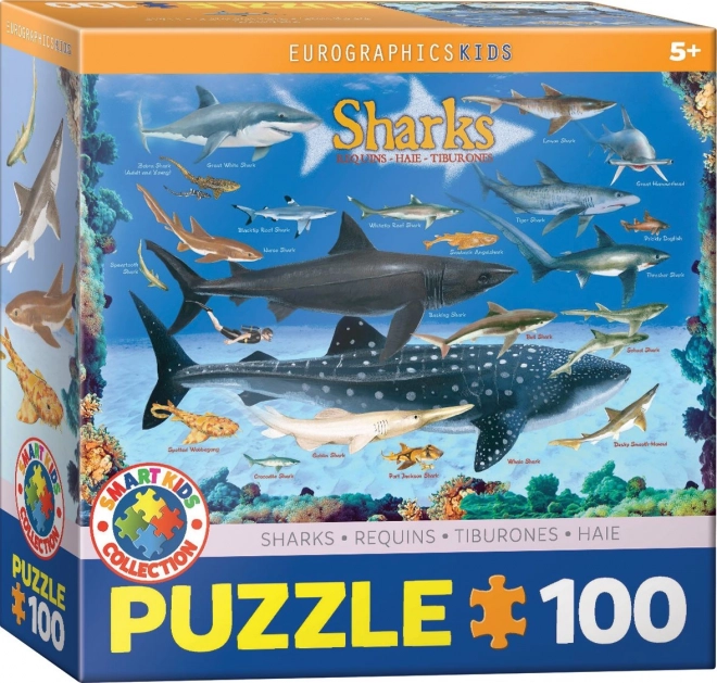 Puzzle Morski Psi 100 komada