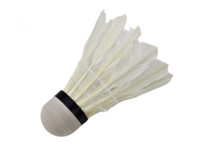 Skup alpskih badmintonskih pernatih loptica 3 kom.