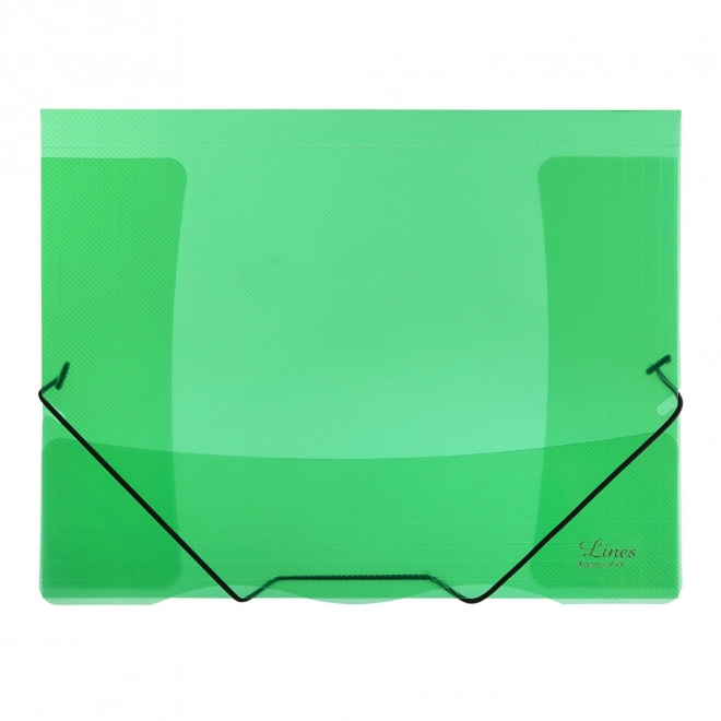 Mapa s gumicom prozirna Lines zelena