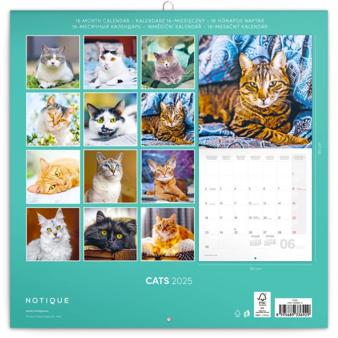 Kalendar za bilješke Mačke 2025, 30 × 30 cm