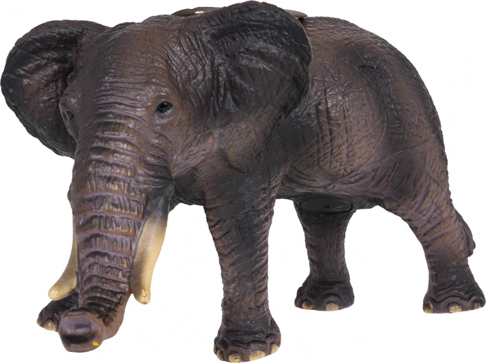 Realistični detalji i robusna izrada