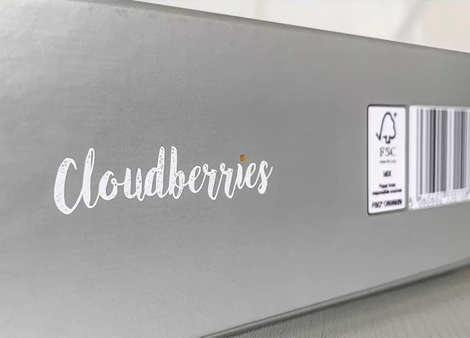 Cloudberries puzzle Dreamscape 1000 dijelova
