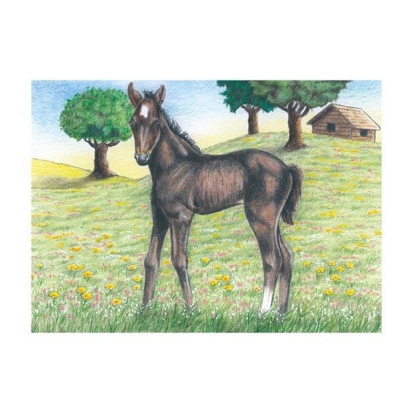 Zagonetka kocke s ovčicom