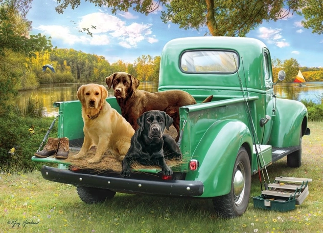 COBBLE HILL Puzzle Idemo na pecanje 500 dijelova
