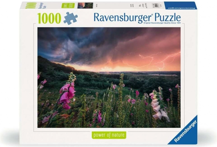 Kvaliteta RAVENSBURGER od 1891.