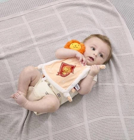 Rainbow Harry Potter Plišana dekica Gryffindor