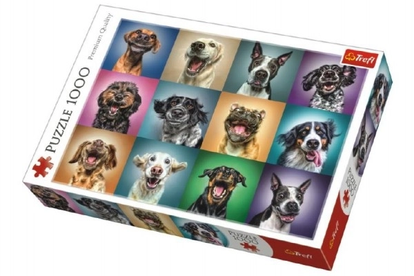 Puzzle Smiješni pseći portreti 1000 dijelova 68,3x48cm u kutiji 40x27x6cm