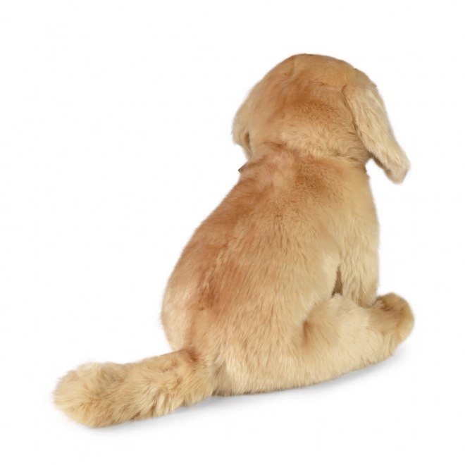 Plišani labrador sjedeći 27 cm EKO-PRIJATELJSKI
