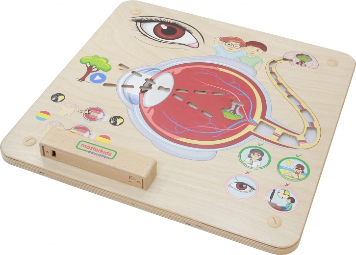 Masterkidz Edukativna Ploča Vid Montessori