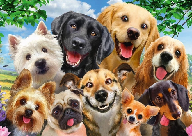 Schmidt puzzle Pseći selfie 500 dijelova