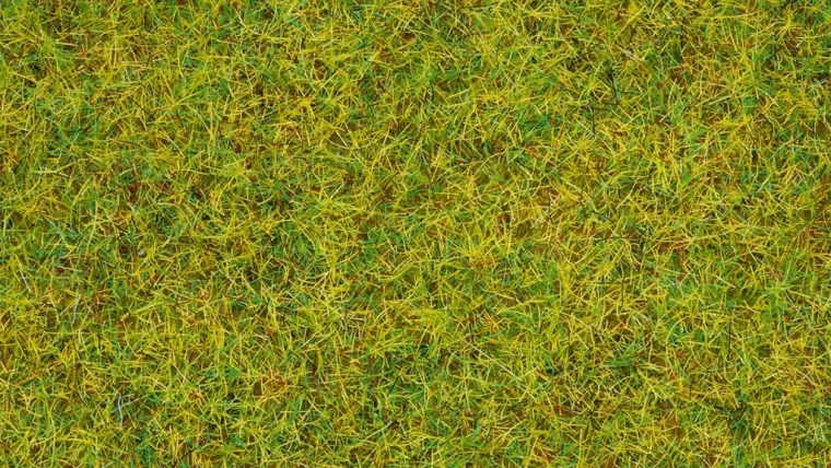 Statika trava Ljetna livada 2,5 mm