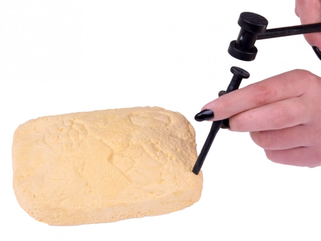 Istraživanje kameni za male arheologe