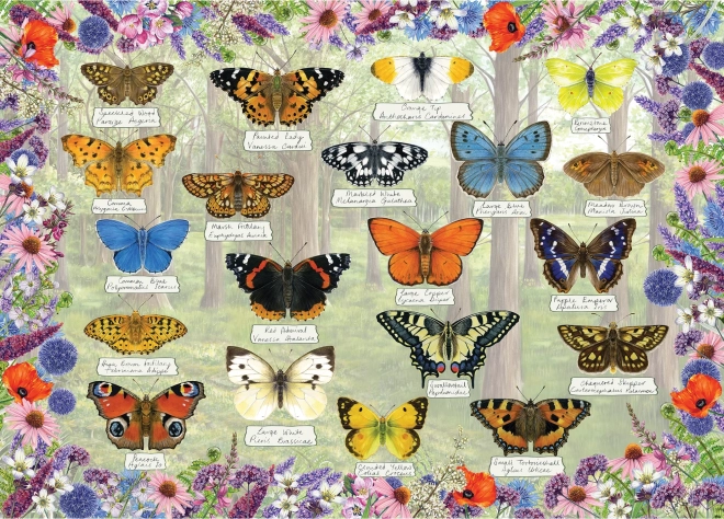 Puzzle Prekrasni leptiri 1000 dijelova