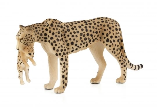 Mojo Gepard s mladunčetom