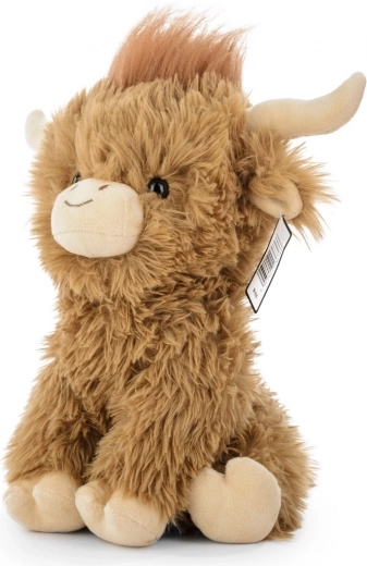 Autentičan izgled Highland kravice