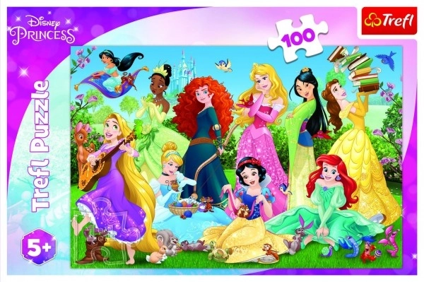 Puzzle Šarmantne princeze/Disney 100 dijelova 41x27,5cm u kutiji 29x19x4cm