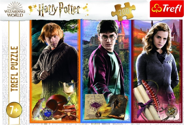 Službeni motiv HARRY POTTER od Trefl