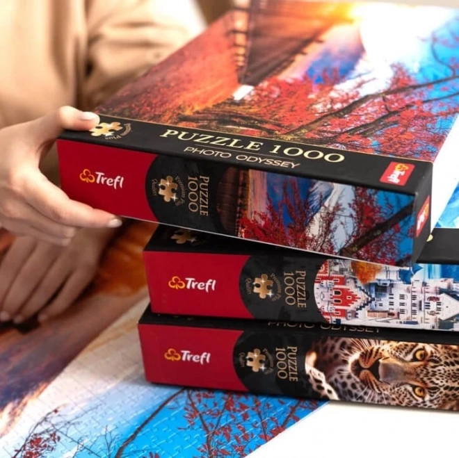 TREFL Puzzle Premium Plus Photo Odyssey: Dvorac Neuschwanstein 1000 dijelova