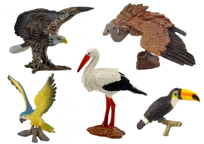 Set figurica Ptice svijeta - 5 komada