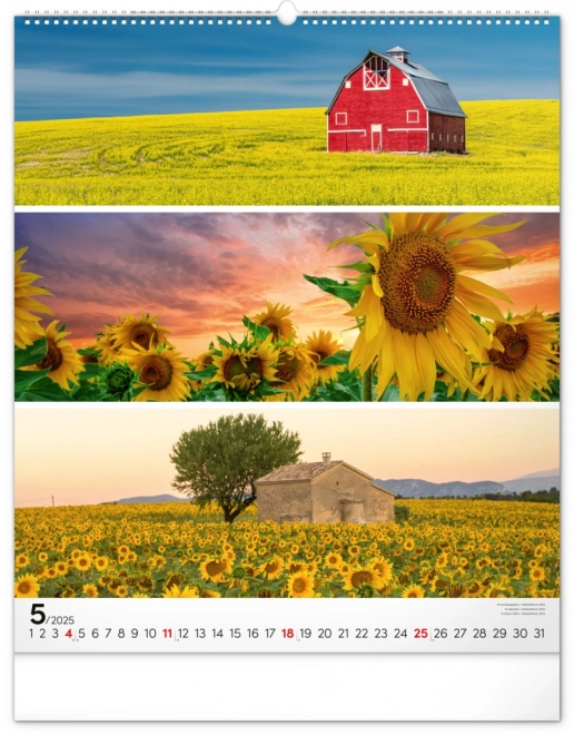 NOTIQUE Zidni kalendar Paleta 2025, 48 x 56 cm