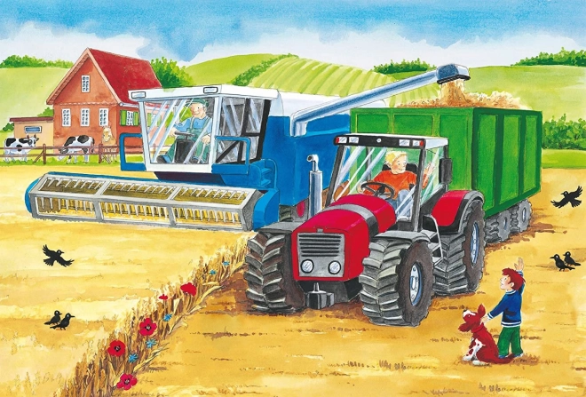 Živa farma u akciji