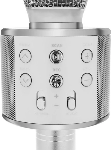 Modulacija glasa i echo efekt