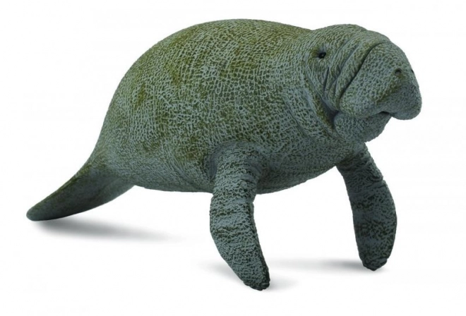 COLLECTA Manat
