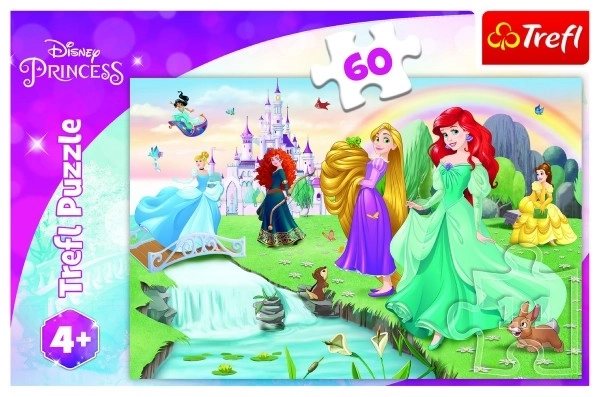 Puzzle Upoznajte princeze 33x22cm 60 dijelova u kutiji 21x14x4cm
