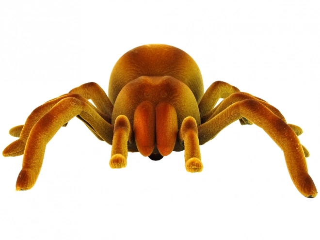 Daljinski upravljani pauk Tarantula Infracrveni Smeđi R/C