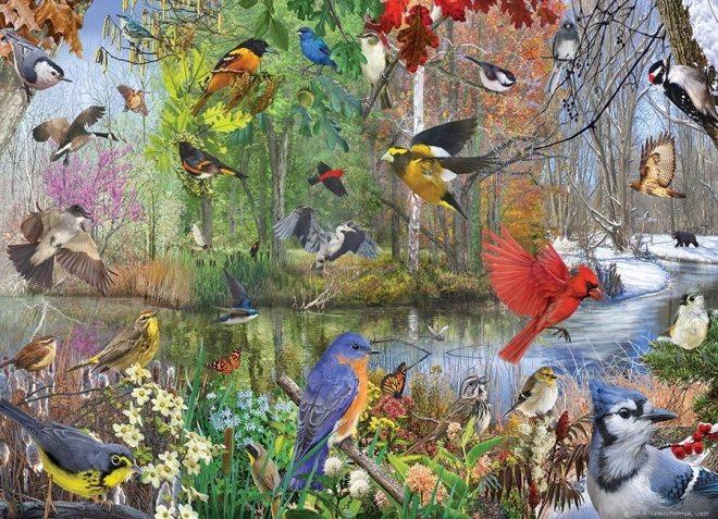 Puzzle Cobble Hill ptice kroz godišnja doba 1000 dijelova