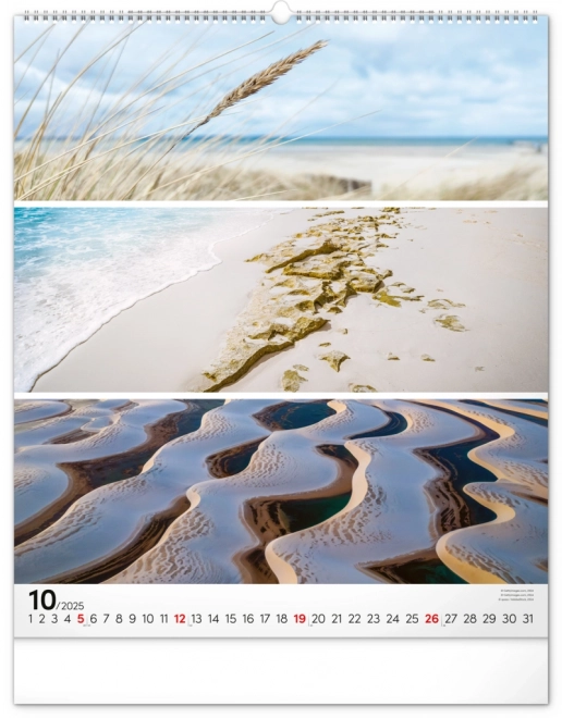 NOTIQUE Zidni kalendar Paleta 2025, 48 x 56 cm
