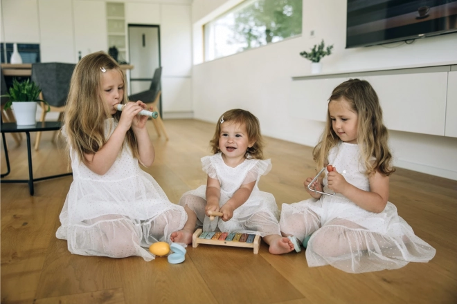 Set dječjih glazbenih instrumenata