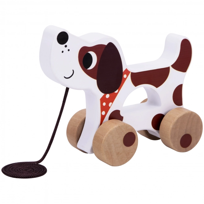 Montessori senzorička kutija XXL 6u1 od Tooky Toy