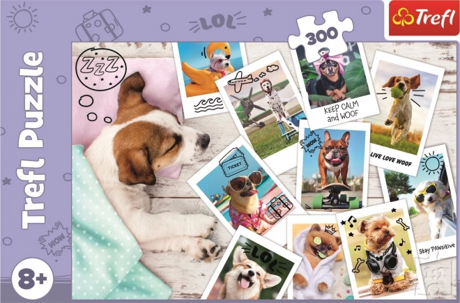Puzzle 300 komada - Fotografije s odmora