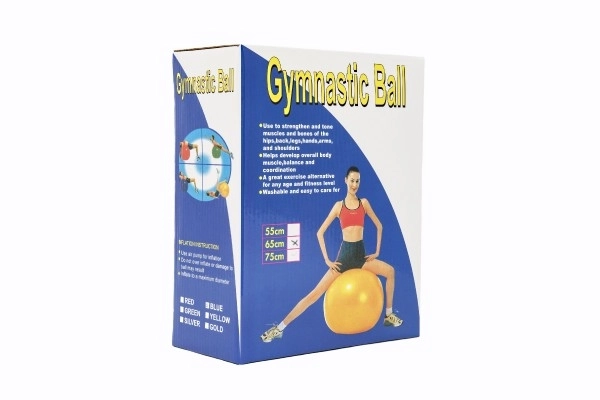 Gimnastička lopta 65cm rehabilitacijska relaksacijska u kutiji 16x22cm