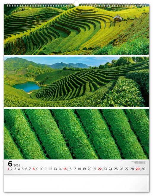 NOTIQUE Zidni kalendar Paleta 2025, 48 x 56 cm