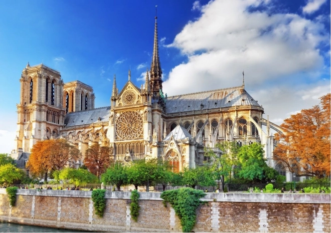 Puzzle Notre-Dame u Parizu 2000 dijelova BLUEBIRD