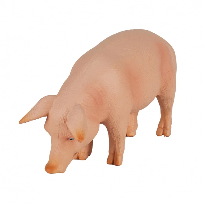 Mojo svinja figurica