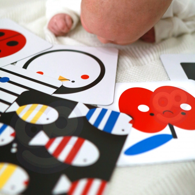 Montessori XXL edukativna kutija 7u1 TOOKY TOY