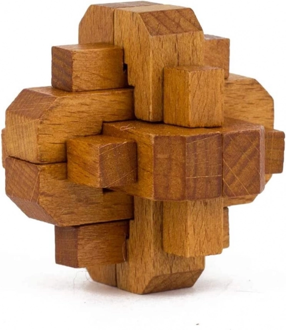 Profesor Puzzle Veliki Umovi: Slavnih Žena 5u1